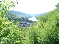 Weinbergwanderung im Rheingau - 01 Blick auf Lorch (Bildautor: Dr. Wolfgang Heinemann)
